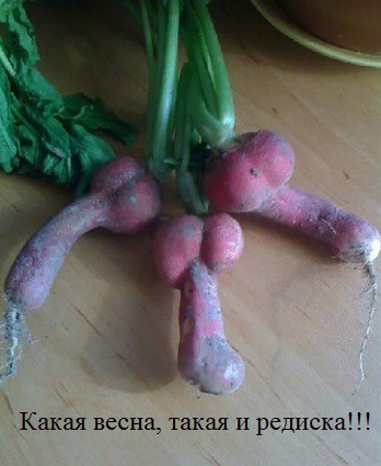 Веселое настроение в картинках (14.05.2026)