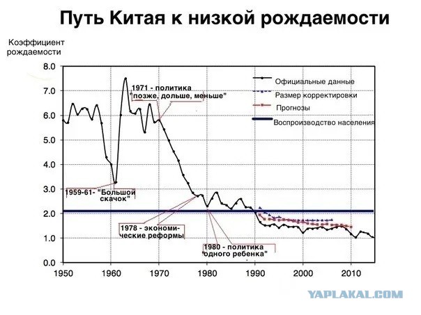 В России падает рождаемость из-за законов, нарушающих естественный ход эволюции