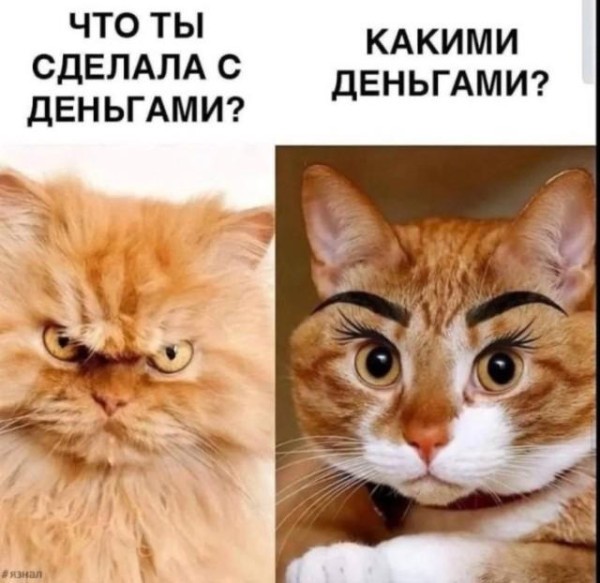 Веселое настроение в картинках 30.07.26
