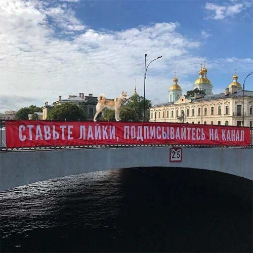 Так себе картинки 07.09.26