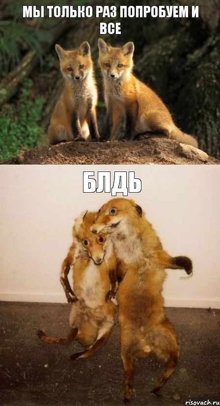 В неформальной обстановке