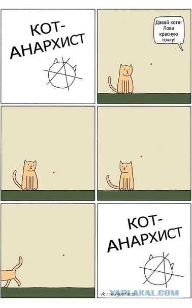 Смешные комментарии из социальных сетей #2