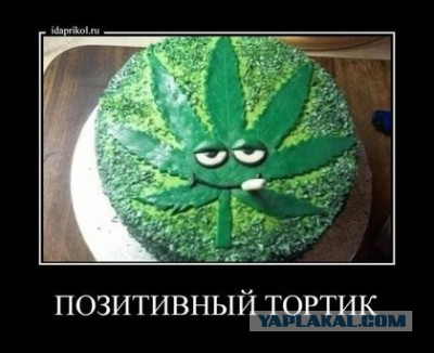 Ку-ку, Маша!