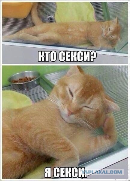 Комменты из соцсетей