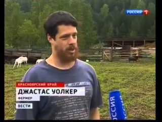 Минфин РФ о ценах на продовольствие ...