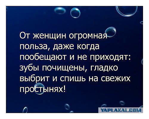 Весёлое из сети