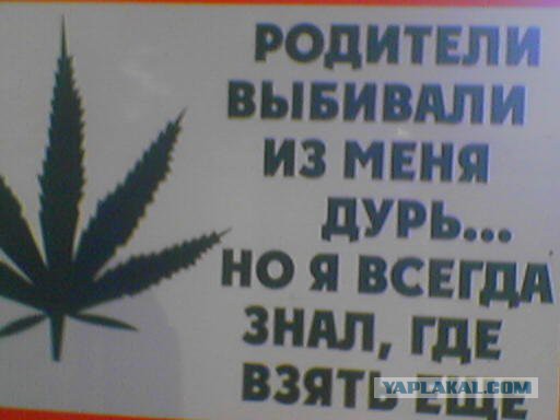А ведь так и есть!