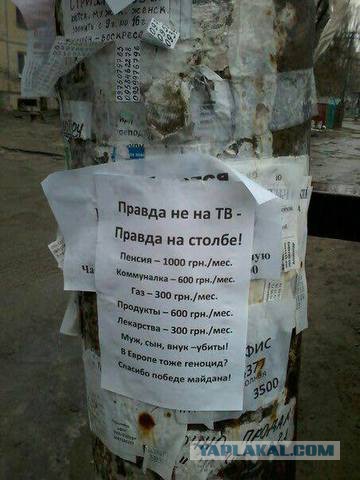 Вот такая вот демократия