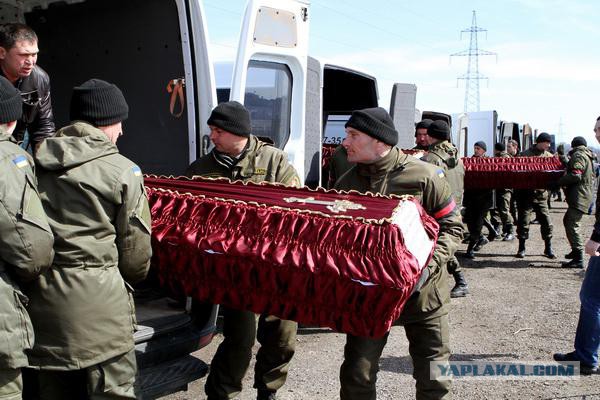 Перемирие кончилось, едва начавшись. часть 6