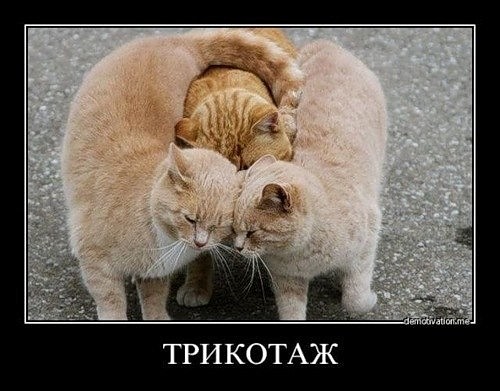 Картинки из инета