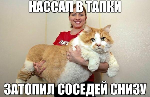 Немного картинок и демотиваторов