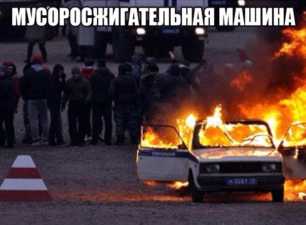 Подборка прикольных фото на пятницу