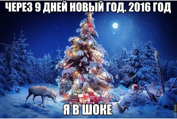 Немного картинок