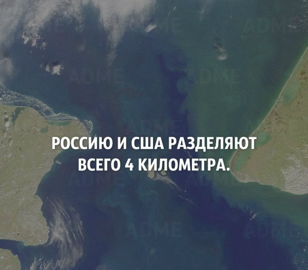 Интересные Научные Гифки и Картинки 6