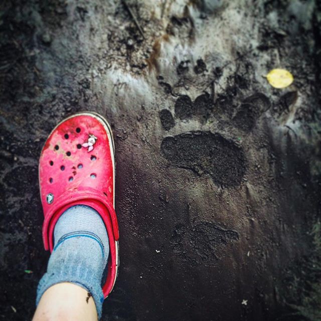 Утомленные икрой: какая она, жизнь на Камчатке?