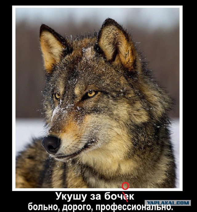 Подборка картинок