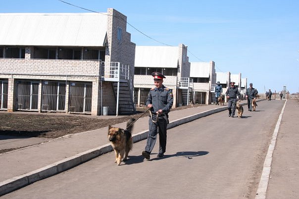 Собакочетвергу посвящается