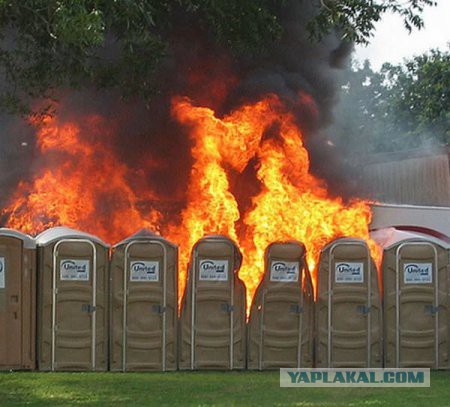 Подборка интересных и веселых фото