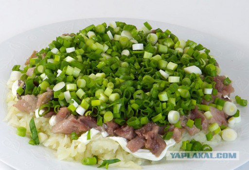 Посиделки под селёдку