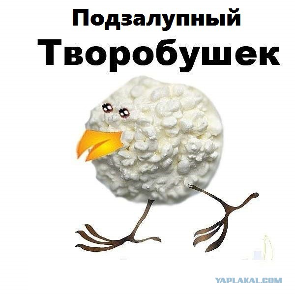 Что за дрянь в чайнике?