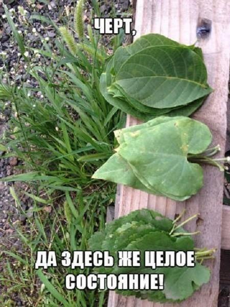 Подборка интересных и веселых картинок