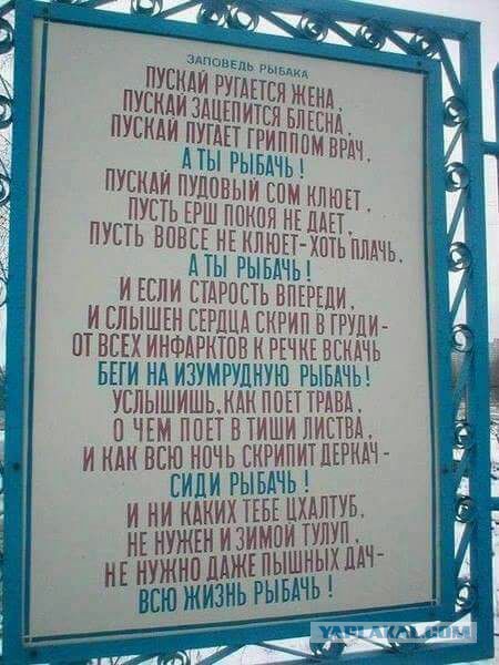 Подборка интересных и веселых картинок