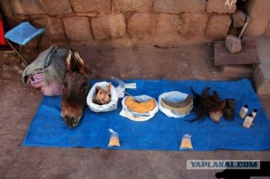 Отличный внедорожник