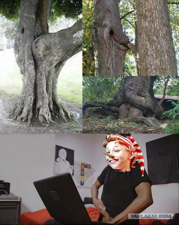 Нестандартный юмор