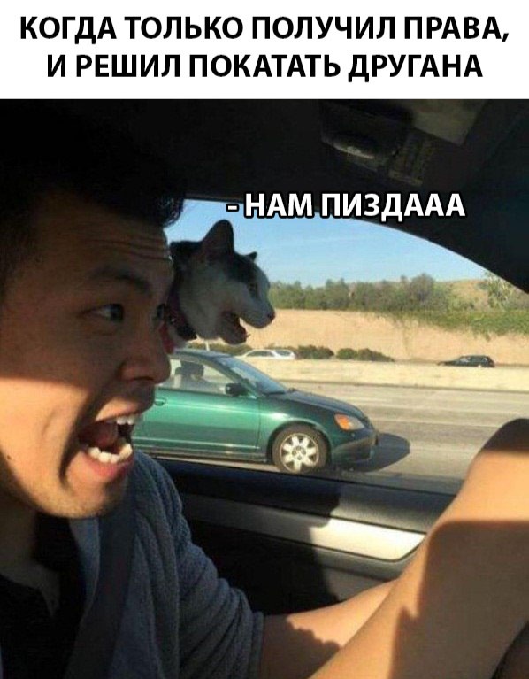 Нестандартный юмор