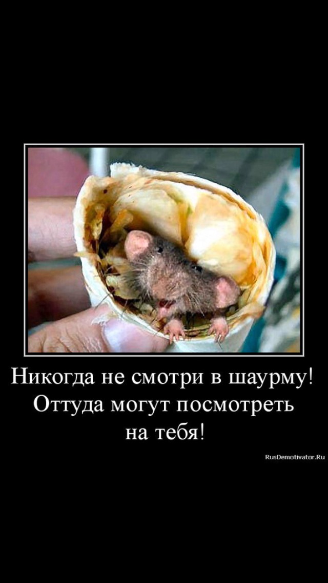 Шаурмы от Сахиба не хотите?