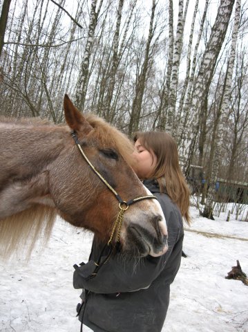 Самая большая лошадь