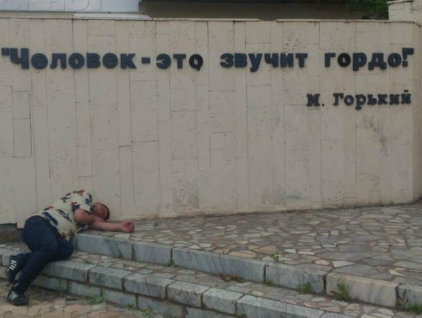 Скотсети и прочие интернеты 03.12.18
