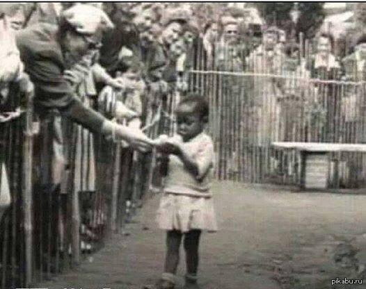 Осада ирландцев в Жадовиле. 1960 год