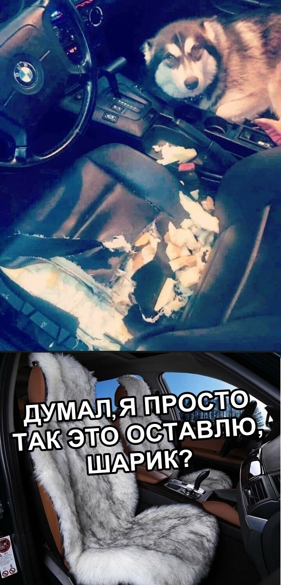 Нестандартный юмор
