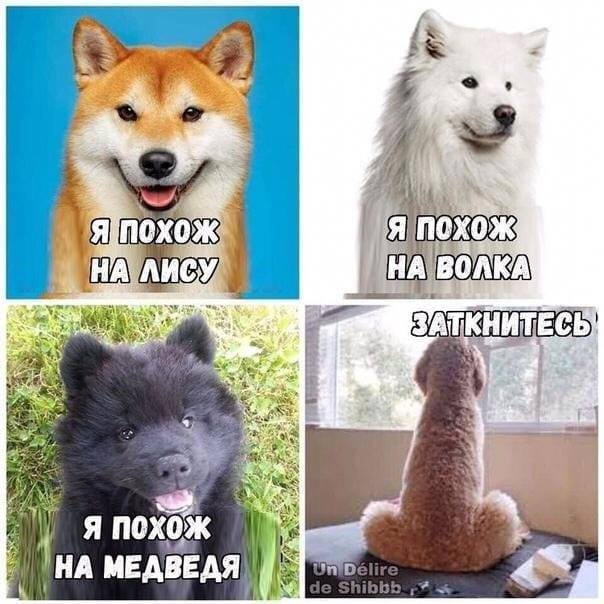 Как я 5 лет жила в браке без секса