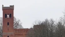 Упоротость