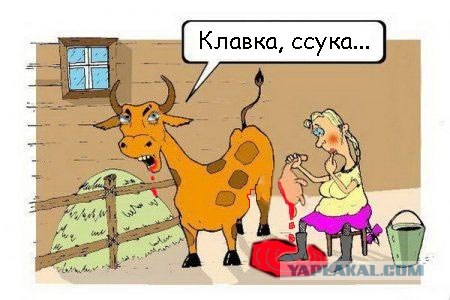 Фотожаба: Задумчивая доярка