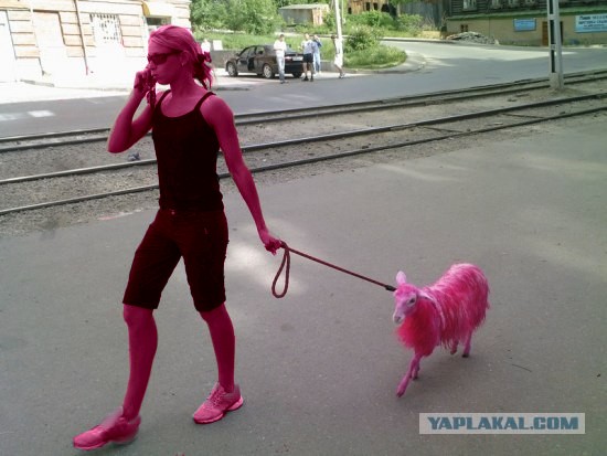 Перис Хилтон из Фрязино