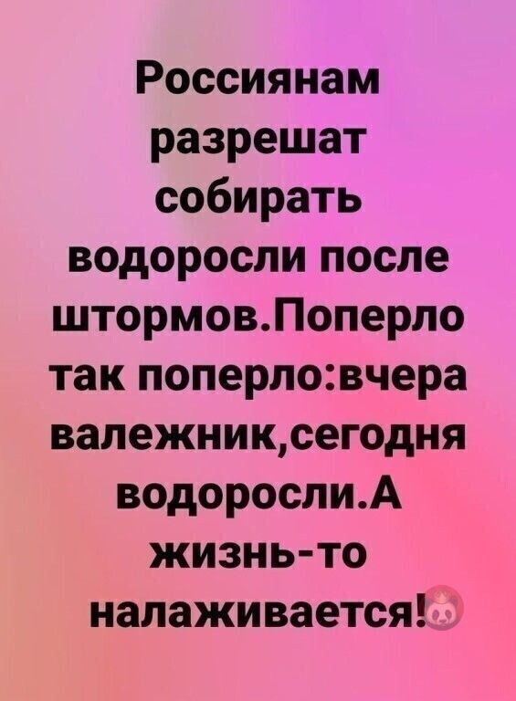 Они все заботятся о нас, не забывают!