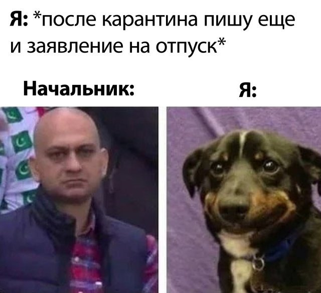 Дурацкие картинки