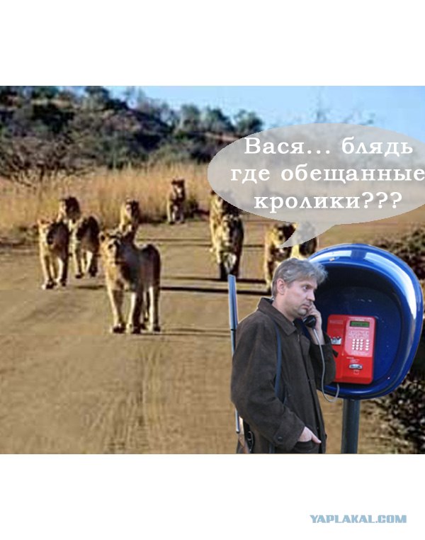 Фотожаба: Охотник у телефона