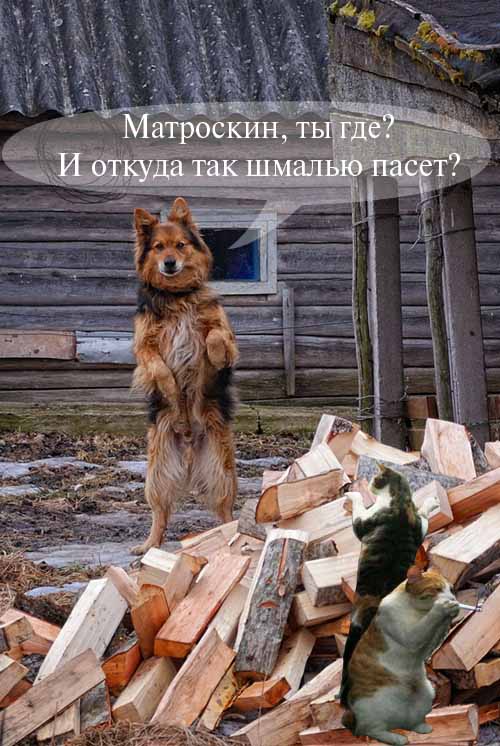 Каникулы в Простоквашино
