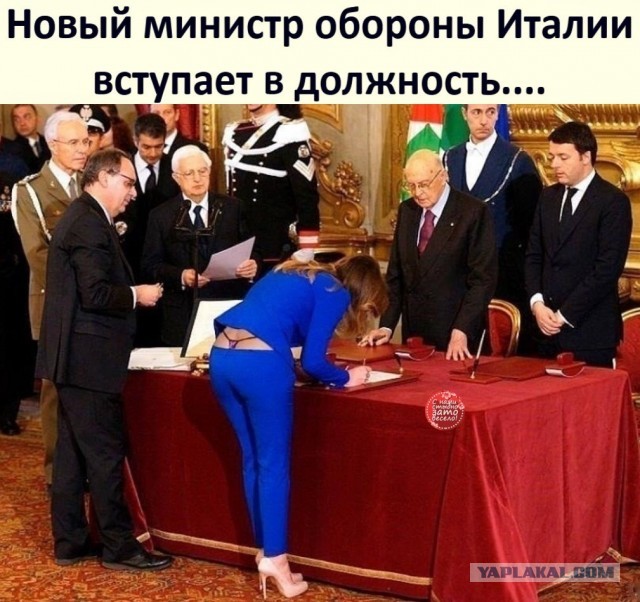 Фотки и картинки: юморные и красивые, забавные и милые 02.11.20