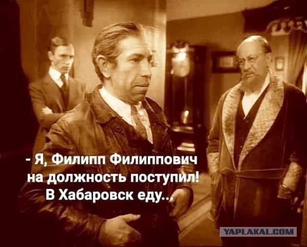 Немного картинок для настроения 12.11.20