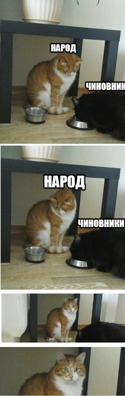 С миру по нитке 28.11