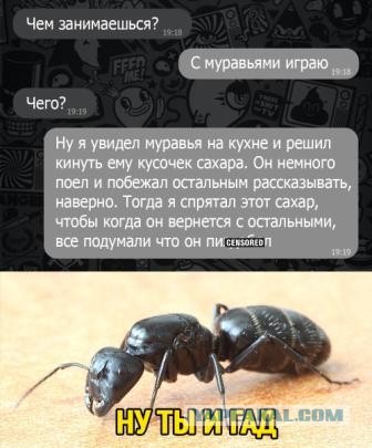 Боянистые картинки 07.12.20