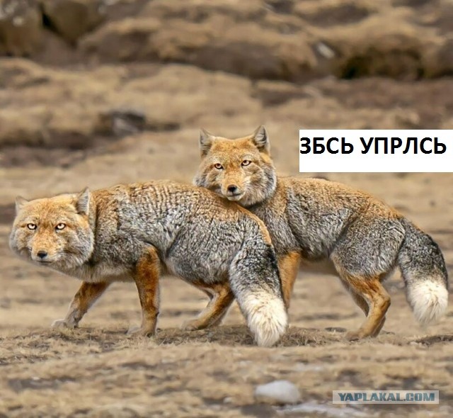 Просто картинки красивые и разные 15.12.20