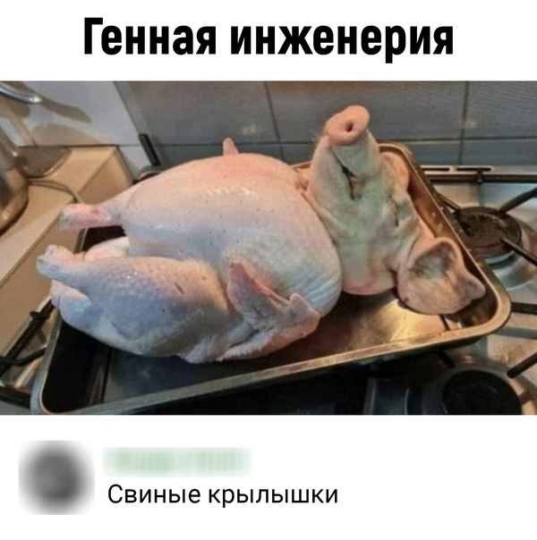 Декабрьский пикчемёт