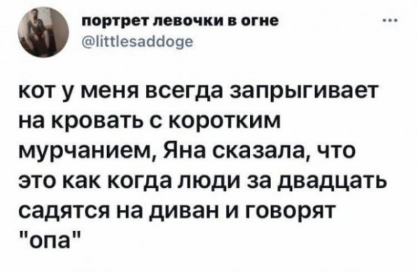 Прикольные и просто красивые картинки 22.06.2021