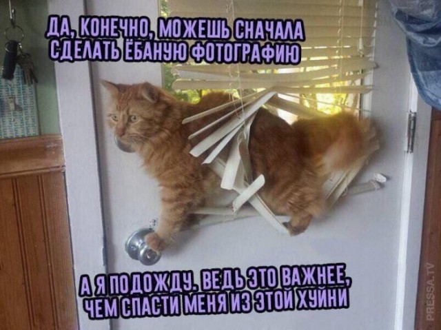 Картинки и мемы для настроения 09.08.2021